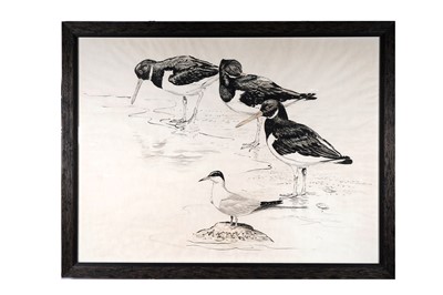 Lot 49 - James Alder - Oystercatchers on the shore | ink