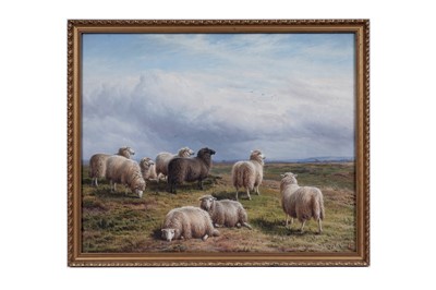 Lot 1 - Charles "Sheep" Jones - Sheep on a hill | oil