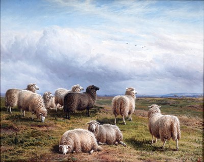 Lot 1 - Charles "Sheep" Jones - Sheep on a hill | oil