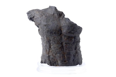 Lot 659 - Nikki Risso-Gill: study of a male torso