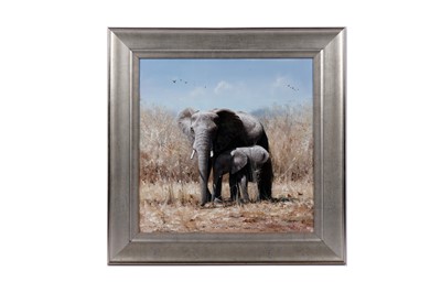 Lot 725 - Pip McGarry - Elephants in Botswana | oil