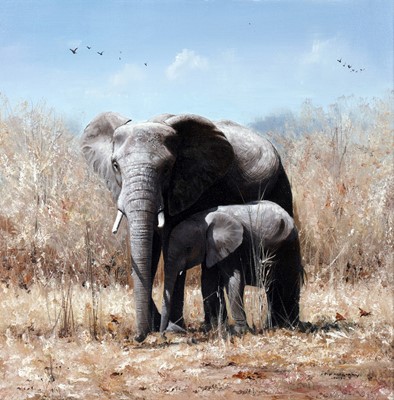 Lot 725 - Pip McGarry - Elephants in Botswana | oil