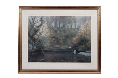 Lot 53 - Robert Turnbull - River view with trees | pastel
