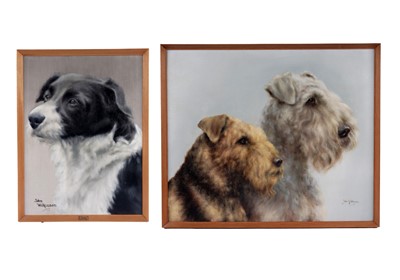 Lot 1511 - John Wilkinson - Judy portrait of a Border Collie, and two Airedale Terriers | oil