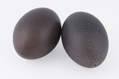 Lot 465 - Two blown emu eggs