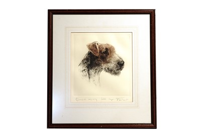Lot 207 - Kurt Meyer-Eberhardt - Portrait of Wire Fox Terrier | engravings
