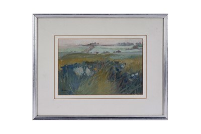 Lot 738 - Irene Halliday - Angus Landscape | gouache