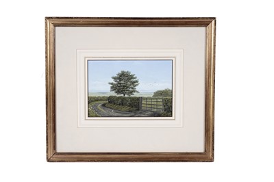 Lot 686 - Simon Turvey - Pheasant in the lane | gouache