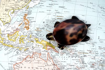 Lot 85 - A Léa Stein celluloid turtle brooch