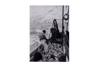 Lot 664 - Nick Hedges - Gutting fish while returning to port, North Sea | silver gelatin photograph