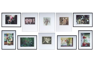 Lot 261 - Karin Berglund: a collection of ten floral study photographs