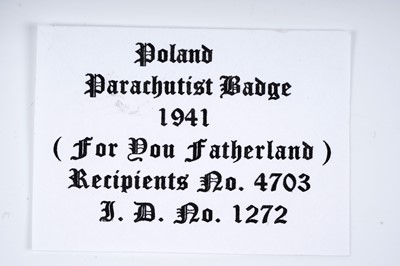 Lot 670 - Polish Air Force in Great Britain Aircrew Brevet and other badges