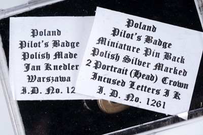 Lot 670 - Polish Air Force in Great Britain Aircrew Brevet and other badges