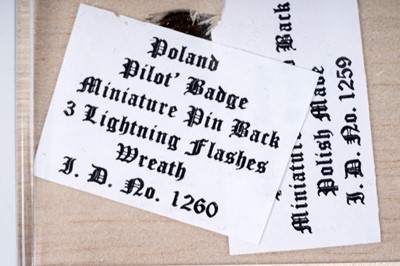 Lot 670 - Polish Air Force in Great Britain Aircrew Brevet and other badges