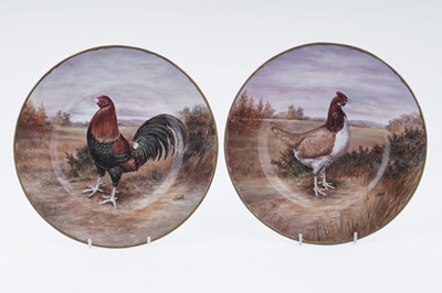 Lot 270 - A pair of porcelain cabinet plates