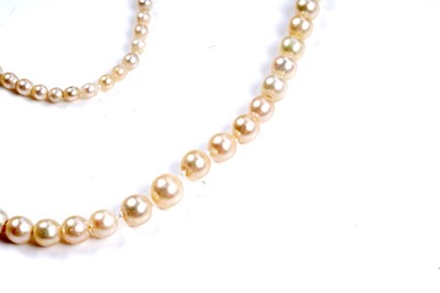 Lot 943 - A natural saltwater pearl single strand necklace
