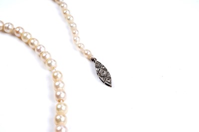Lot 943 - A natural saltwater pearl single strand necklace