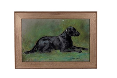 Lot 1534 - Eileen Hood - "Juno" 6 Years Old | pastel