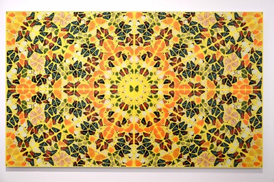 Lot 1 - Damien Hirst, Splendour, Signed and Numbered Print