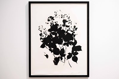 Lot 4 - Cornelia Parker, A Fist Full of Black Berries Signed and Numbered Print