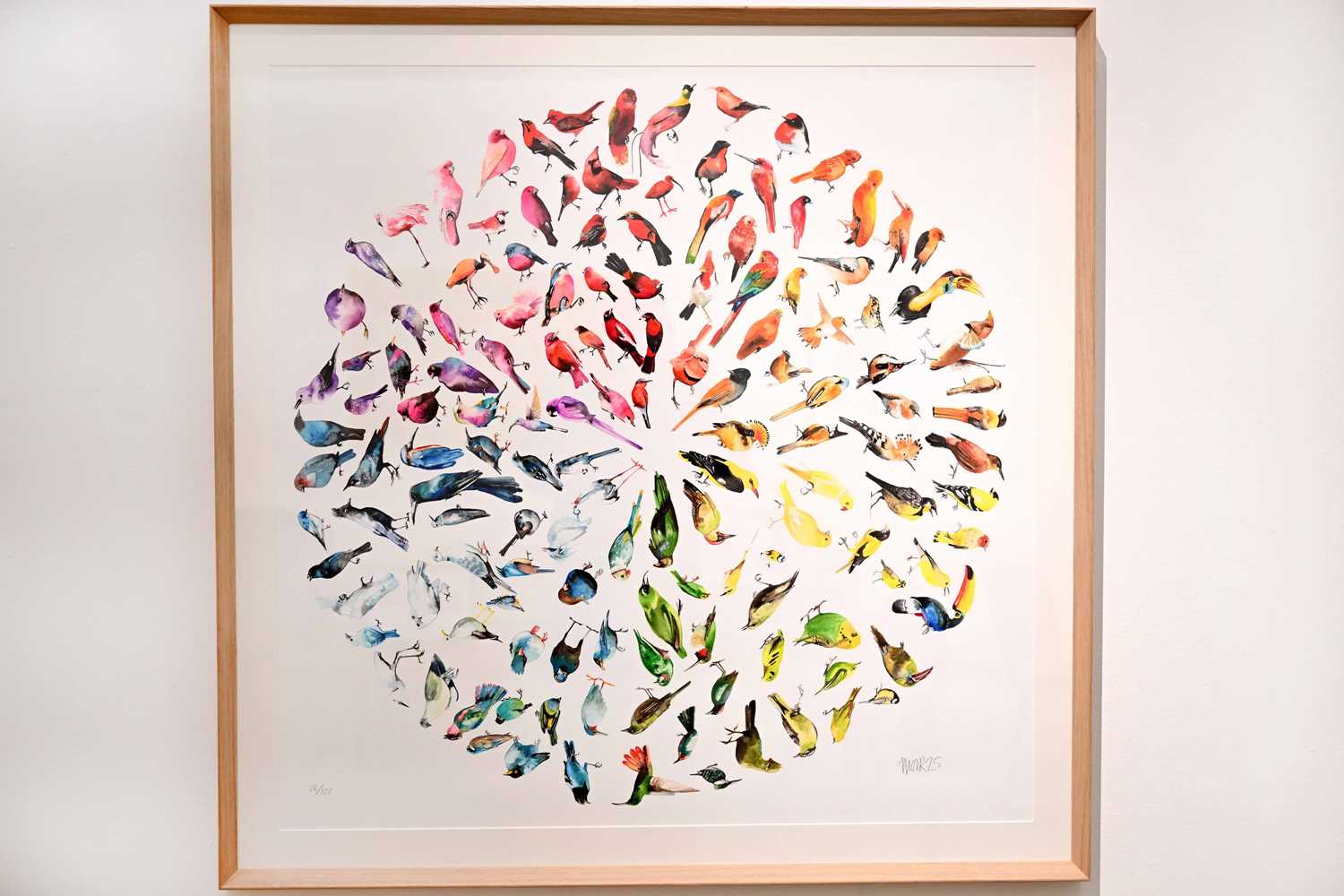 Lot 3 - Jim Moir, Bird Colour Wheel (Large), Framed,