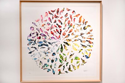 Lot 3 - Jim Moir, Bird Colour Wheel (Large), Framed, Signed and Numbered Giclée Print