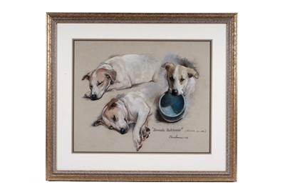 Lot 1535 - Sam Morse-Brown - "Bermuda Bull-terrier" (Winkie, 1971-1984) | pastel