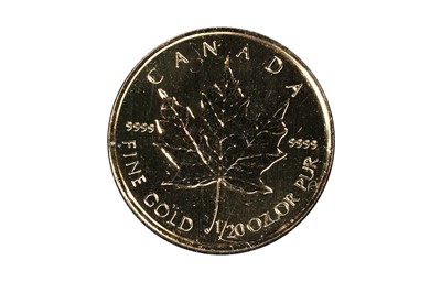 Lot 309 - Twenty-one of The Smallest Gold Coins of the World