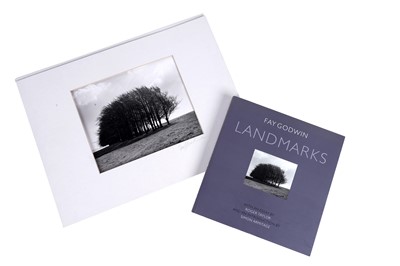 Lot 511 - Fay Godwin - Barbury Castle Clump, Spring | photographic print