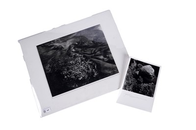 Lot 524 - John Blakemore - two studies of water | photograph