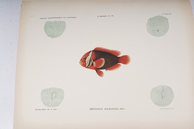 Lot 212 - Poissons des Campagnes du "de Lanessan" | 1932