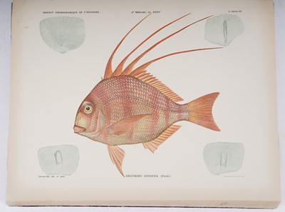 Lot 212 - Poissons des Campagnes du "de Lanessan" | 1932