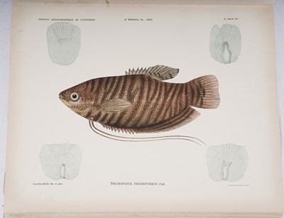 Lot 212 - Poissons des Campagnes du "de Lanessan" | 1932