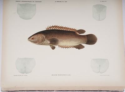 Lot 212 - Poissons des Campagnes du "de Lanessan" | 1932