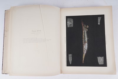 Lot 212 - Poissons des Campagnes du "de Lanessan" | 1932
