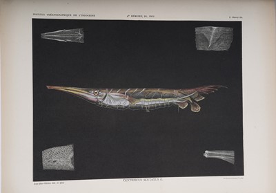 Lot 212 - Poissons des Campagnes du "de Lanessan" | 1932