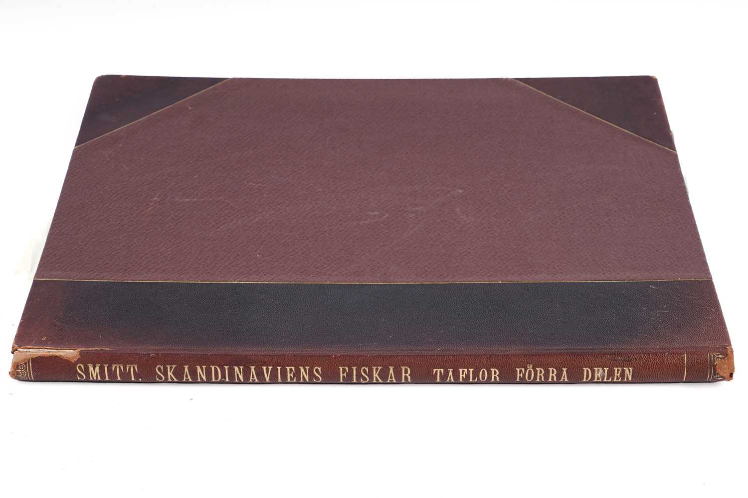 Lot 208 - Skandinaviens Fiskar by Wilhelm Von Wright | 1892
