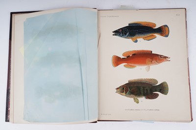 Lot 208 - Skandinaviens Fiskar by Wilhelm Von Wright | 1892