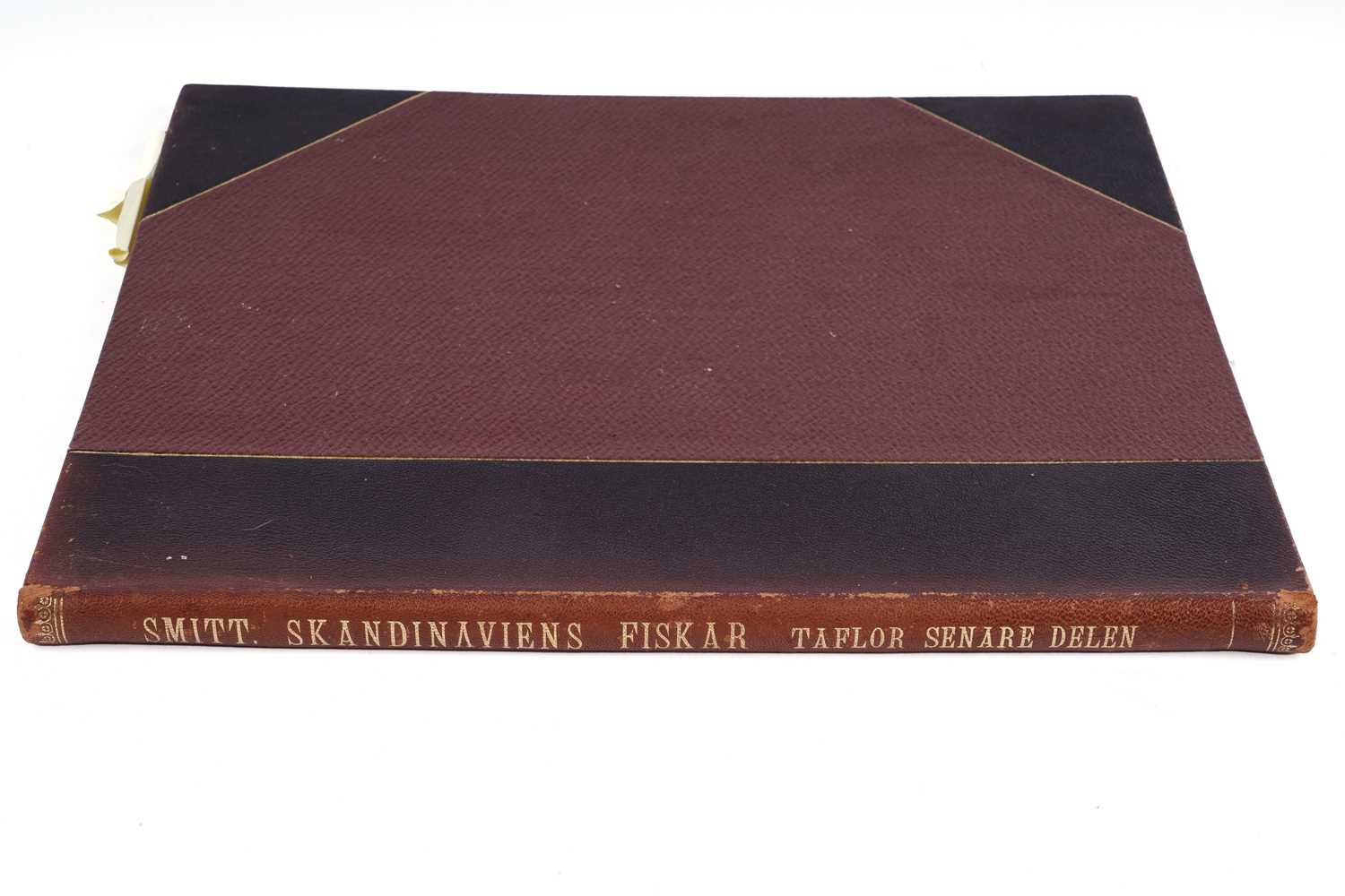 Lot 209 - Skandinaviens Fiskar by Wilhemn Von Wright | 1895