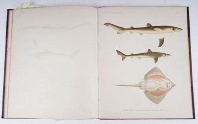 Lot 209 - Skandinaviens Fiskar by Wilhemn Von Wright | 1895