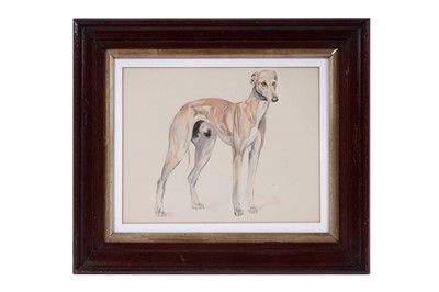 Lot 1536 - Manner of Cecil Aldin - A Fawn Greyhound | watercolour