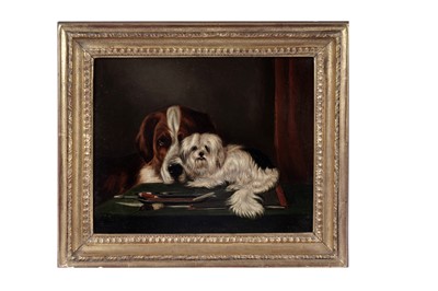 Lot 1517 - Late 19th Century British School -A St. Bernard with a Shih Tzu and a mouse | oil