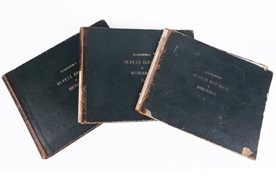 Lot 116 - Three volumes of Suecia Antiqua & Hodierna | c.1850