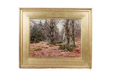 Lot 1672 - Ralph William Bardill - Beech Wood in Autumn | watercolour