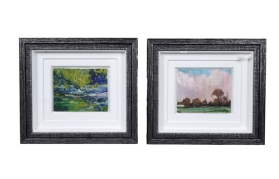 Lot 509 - Emerson Mayes - Two landscape studies | oils