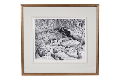 Lot 1663 - George Hutchinson - Rocks and Roots | graphite