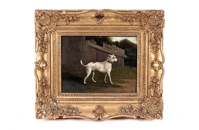 Lot 1524 - Follower of Francis Sartorious - A Bullterrier by a Fence | oil