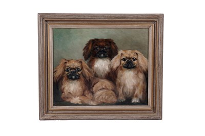 Lot 1522 - Hilda Annetta Walker FRSA - Portrait of three pedigree Pekingese | oil