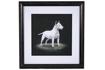 Lot 1538 - Jacqueline Des Clayes - Bull Terrier | gouache
