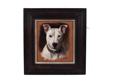 Lot 1526 - Monica F. Gray - Simon the English Bull Terrier, with Great War provenance | oil on panel